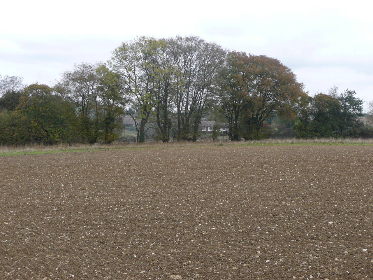 Bare Field 2 by AdenarKaren