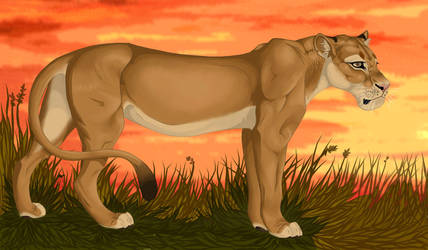 Lioness by Whodovoodoo