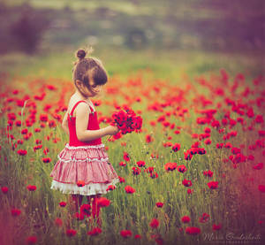 *** by Daizy-M *** by Daizy-M