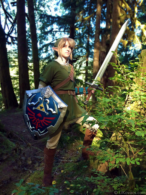 Hero of Hyrule - Twilight Princess by LiKovacs