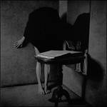 guide through the fears by shamanski
