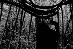 queen is dead by shamanski