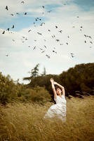 Answer Is Hidden In The Wind by ElifKarakoc