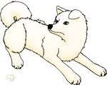 Hachiko by Mimysse