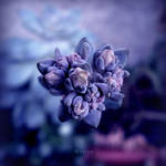 God by MarinaCoric