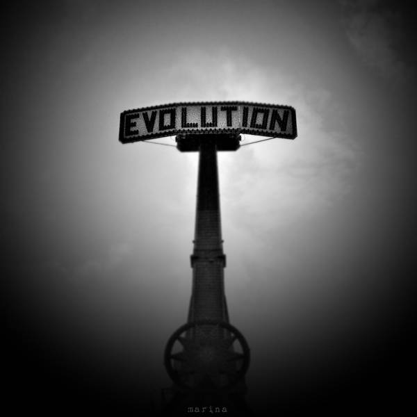 Evolution by MarinaCoric