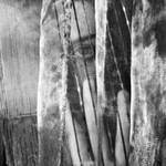 Oh, Can't Anybody See... by MarinaCoric
