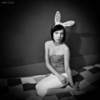 Bunny II by MarinaCoric
