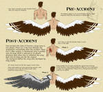 P - Dorrien's wing concept by IrishWolven