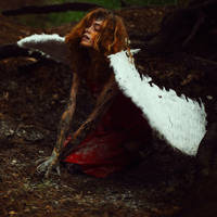 fallen by emptyredhead