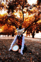 My Wonderland by Akusesu