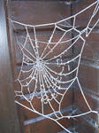 Ice spiderweb by AzurylipfesStock