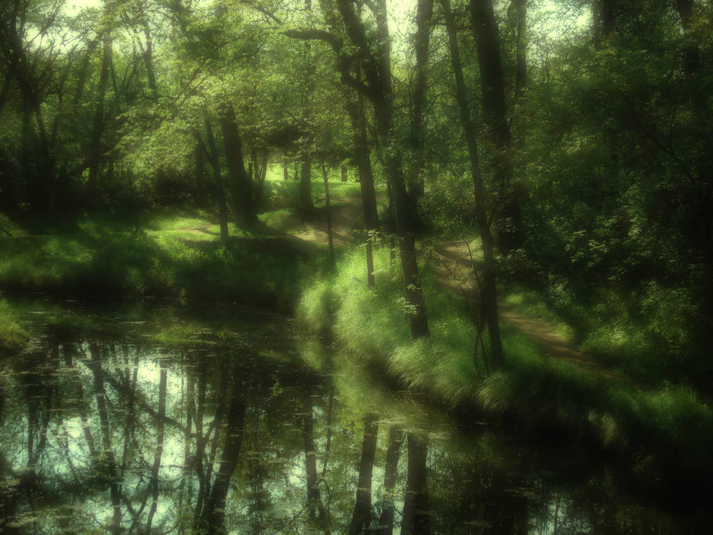 The Fairy Woods 2 by midnightstouchSTOCK