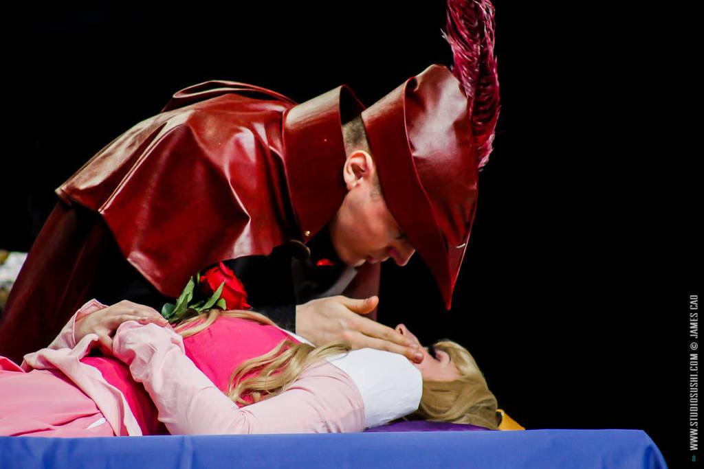 Sleeping Beauty and Prince Philip Cosplay by CosplayQuest