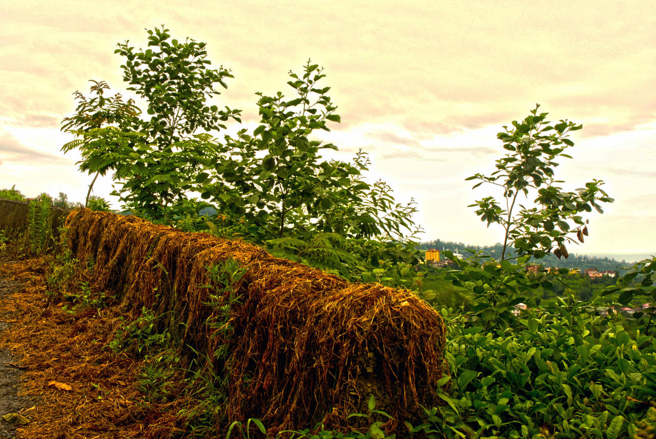 Azaklihoca Village,Rize,Turkey 5. by bigzoso