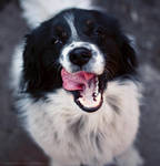 tongue on foreground by 4GottenWords