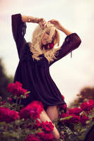 I NEVER PROMISED A ROSE GARDEN by sarahlouisejohnson