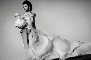 ANIMAL FARM by sarahlouisejohnson