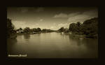 Amazon,Brazil 1 by 0ooo0
