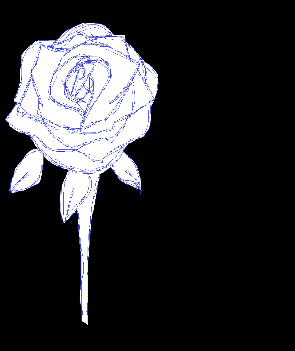 White Sketch Rose by stormsky101 on DeviantArt