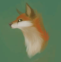 Gross Silver Fox by Dragibuz on DeviantArt
