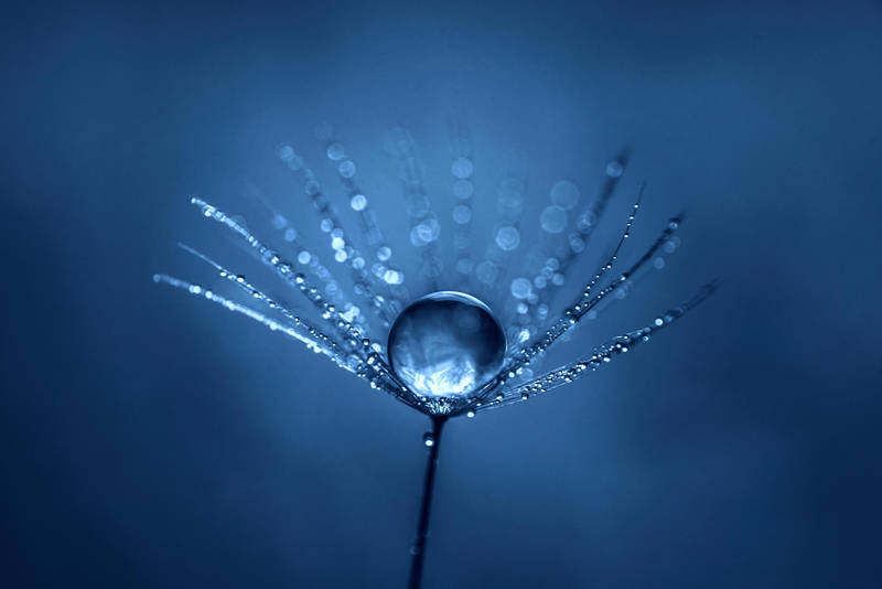 Perle de pluie by Aurelien-Minozzi