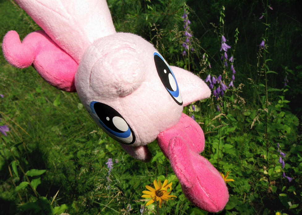 Pinkie From Above by nalina