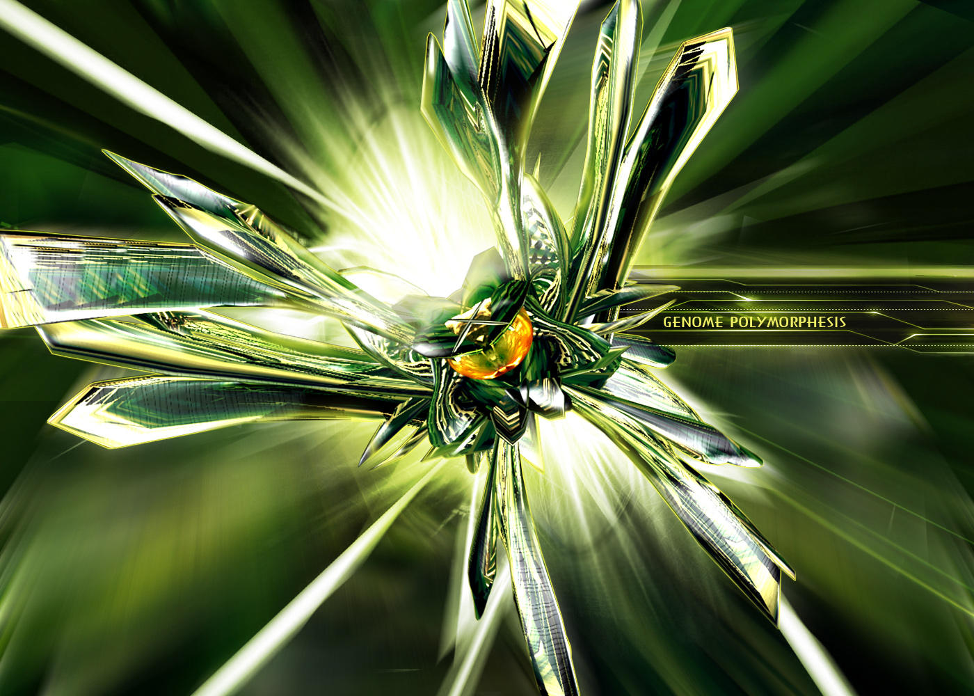 g e n o m e p o l y m o r p h by bakka