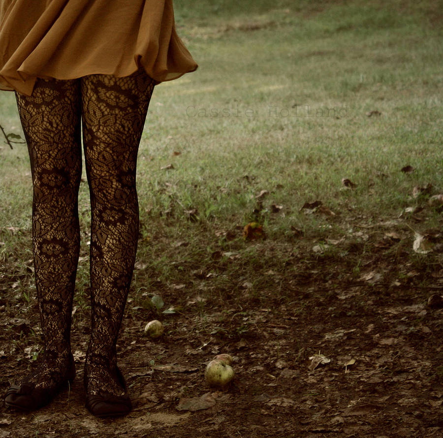 Tonight we dance by Eissacholland