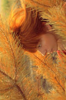 mazed by October-Sunshine