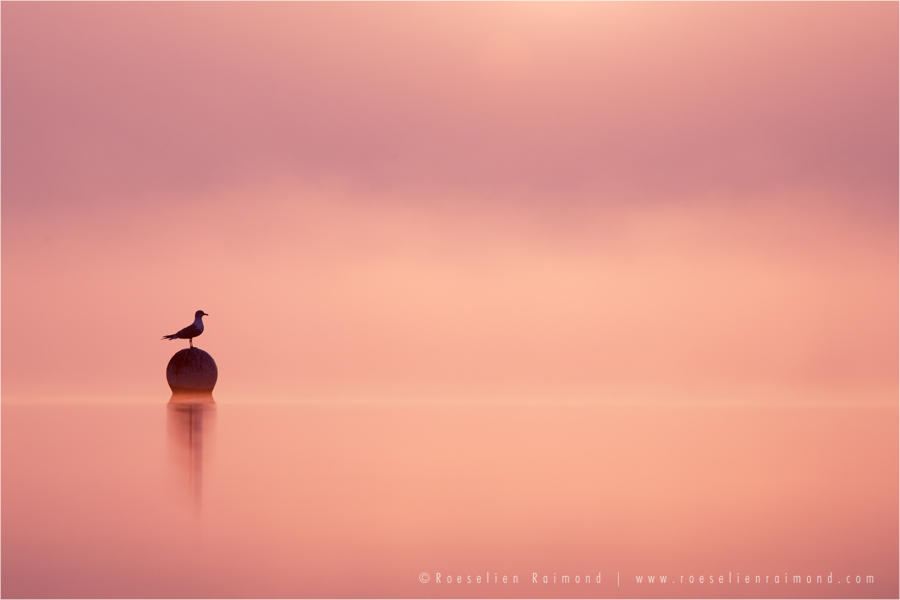 Empty Spaces by thrumyeye