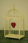 cage by Hongatar-stock