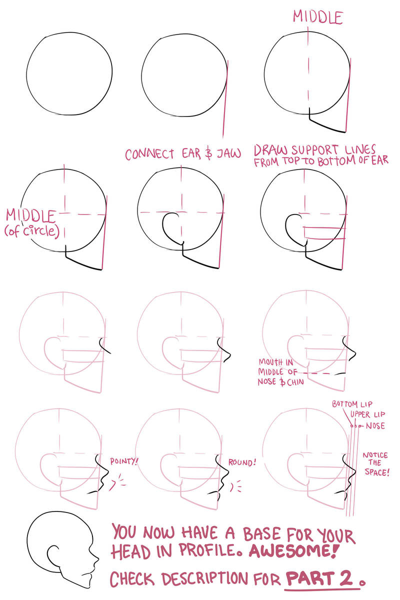 Face profile tutorial part 1 by Lily-Draws