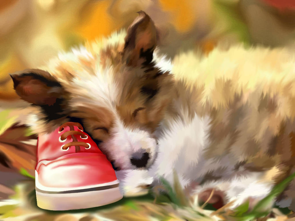 Collie Dog by EienBlue25 on DeviantArt Collie Dog by EienBlue25 on DeviantArt