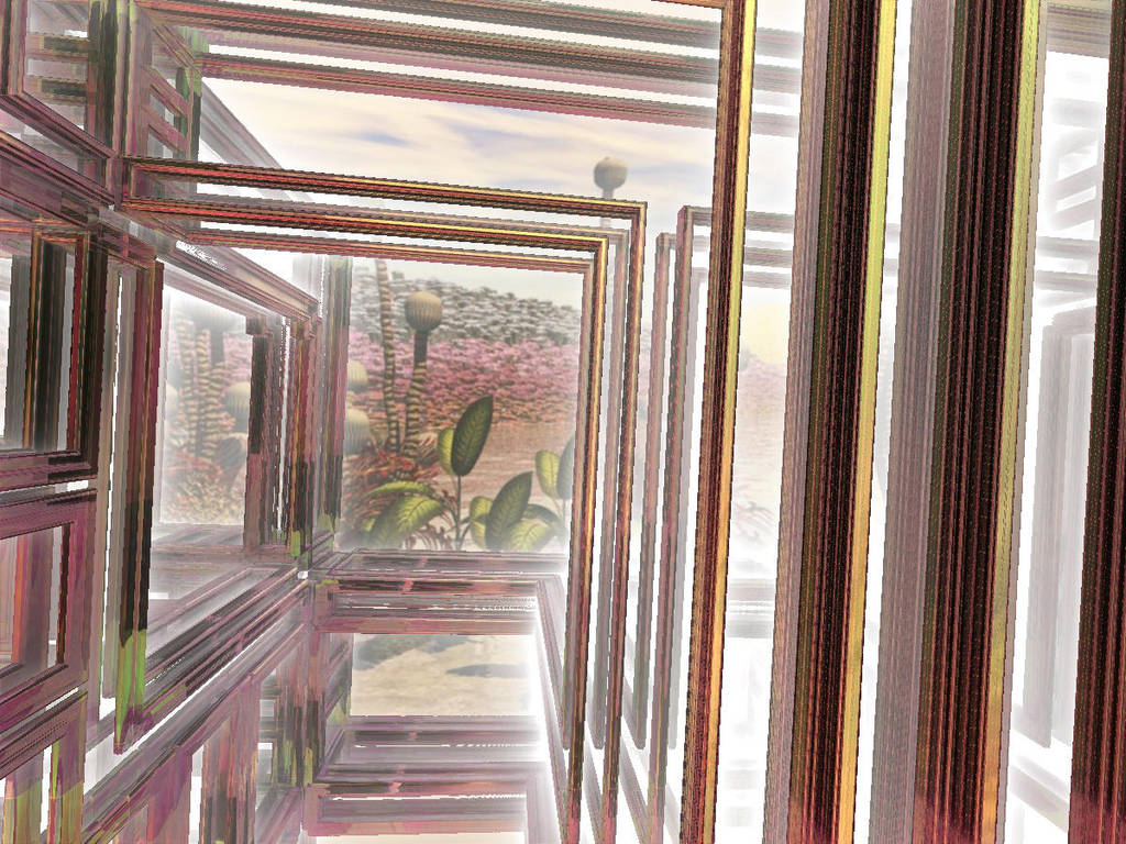 Framed again... by zrosemarie