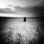 far by MustafaDedeogLu