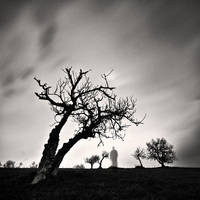 refusaL by MustafaDedeogLu