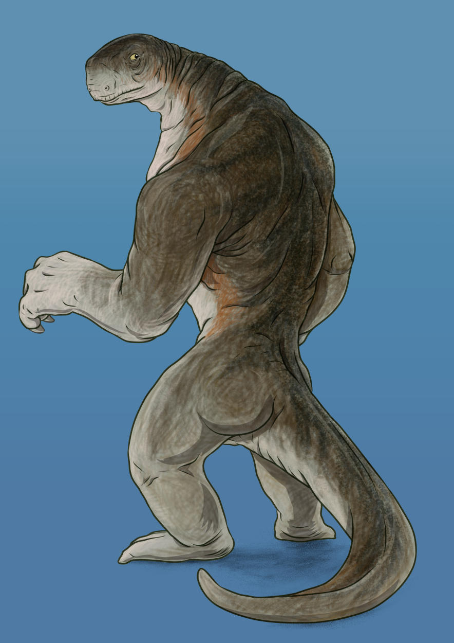 Cotylorhynchus by FerosBR on DeviantArt