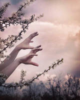 waiting for my spring by justashadowleft