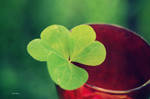 Lucky by LuizaLazar