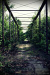callaway fork bridge deck II by SMT-Images