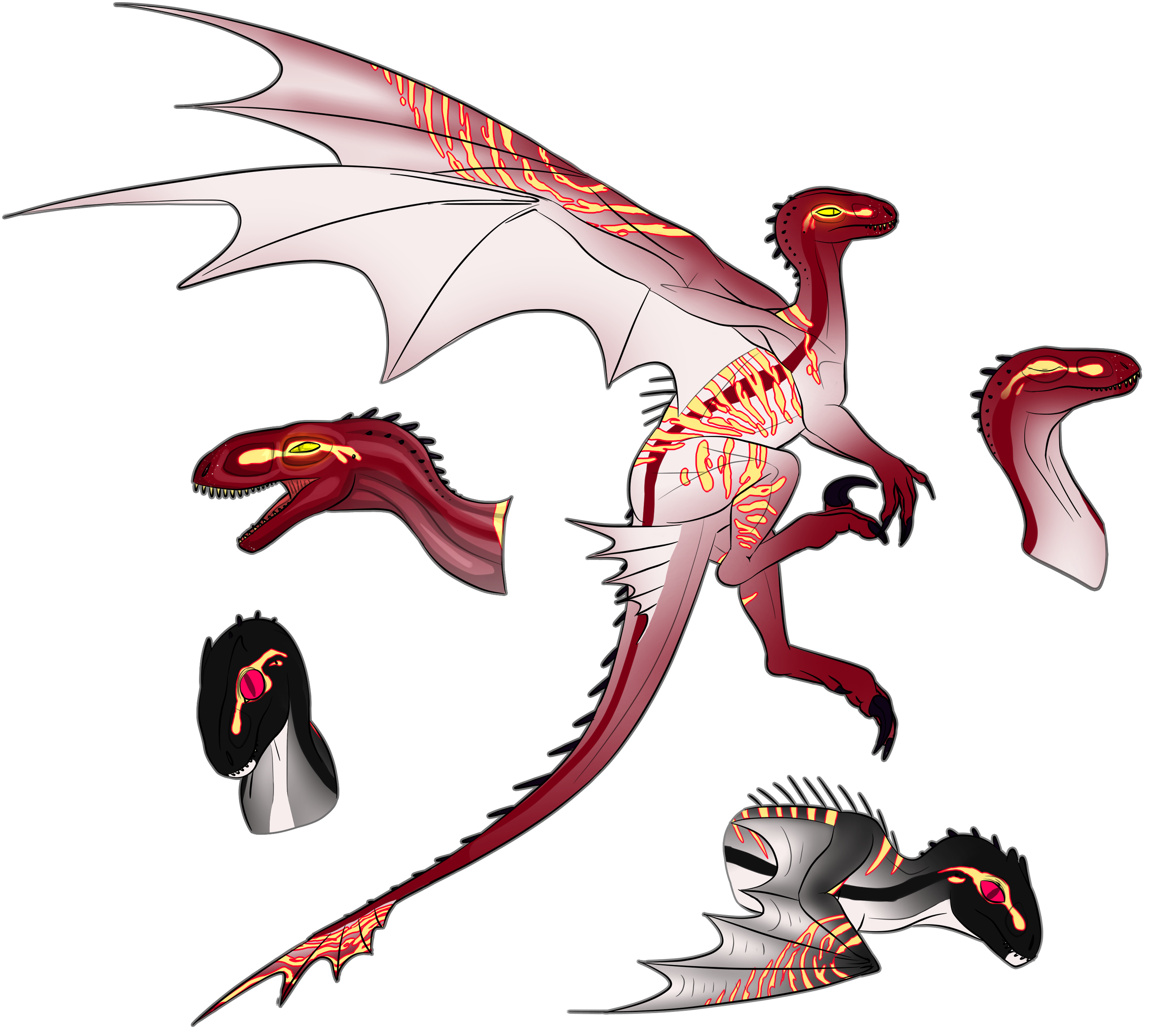 dczr0u4-0392db88-06a8-4cb2-8b62-9f0b279eb62b.png