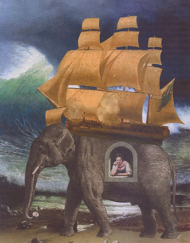 The Lady and the Elephant by hrn