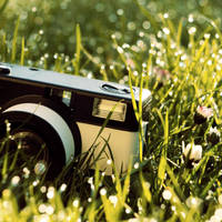 lomo l o m o by soularrest