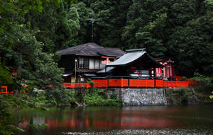 Fushimi Inari by Nikander