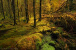 quiet here? by photo-earth