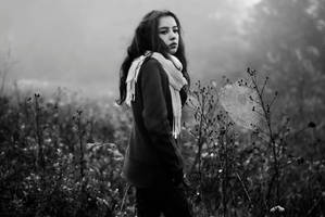 Alicjai pajeczyna by Affchen