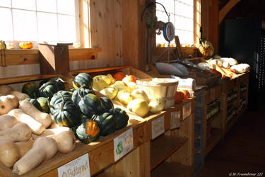 Many Squashes for sale by natureguy