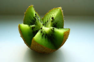 Kiwi I by spanjebob89