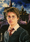 Harry Potter by DavidDeb